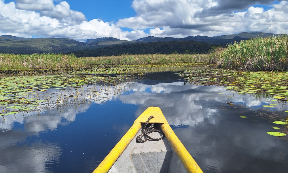 Pantanal Chapada